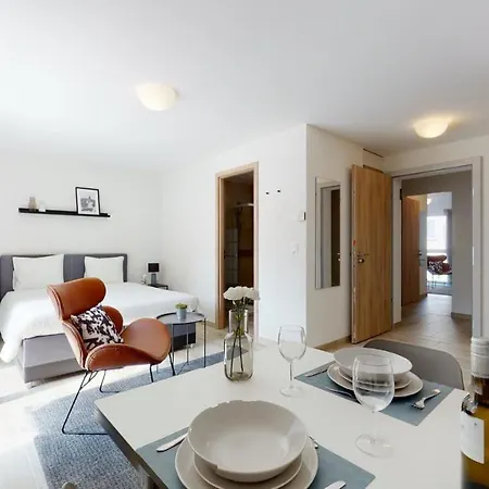 Apartment Furnished Studio #003 - Swiss Aigle